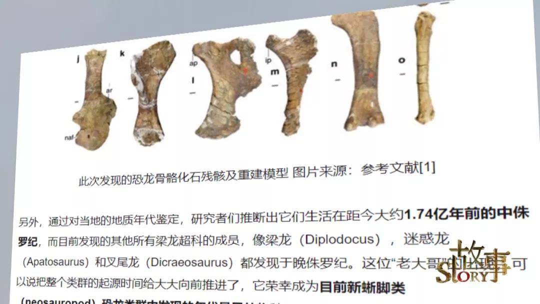 中国|中国“神奇灵武龙”,究竟因何而神奇？