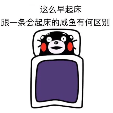 1d417a5d724247178fc05a004611ccbb.png