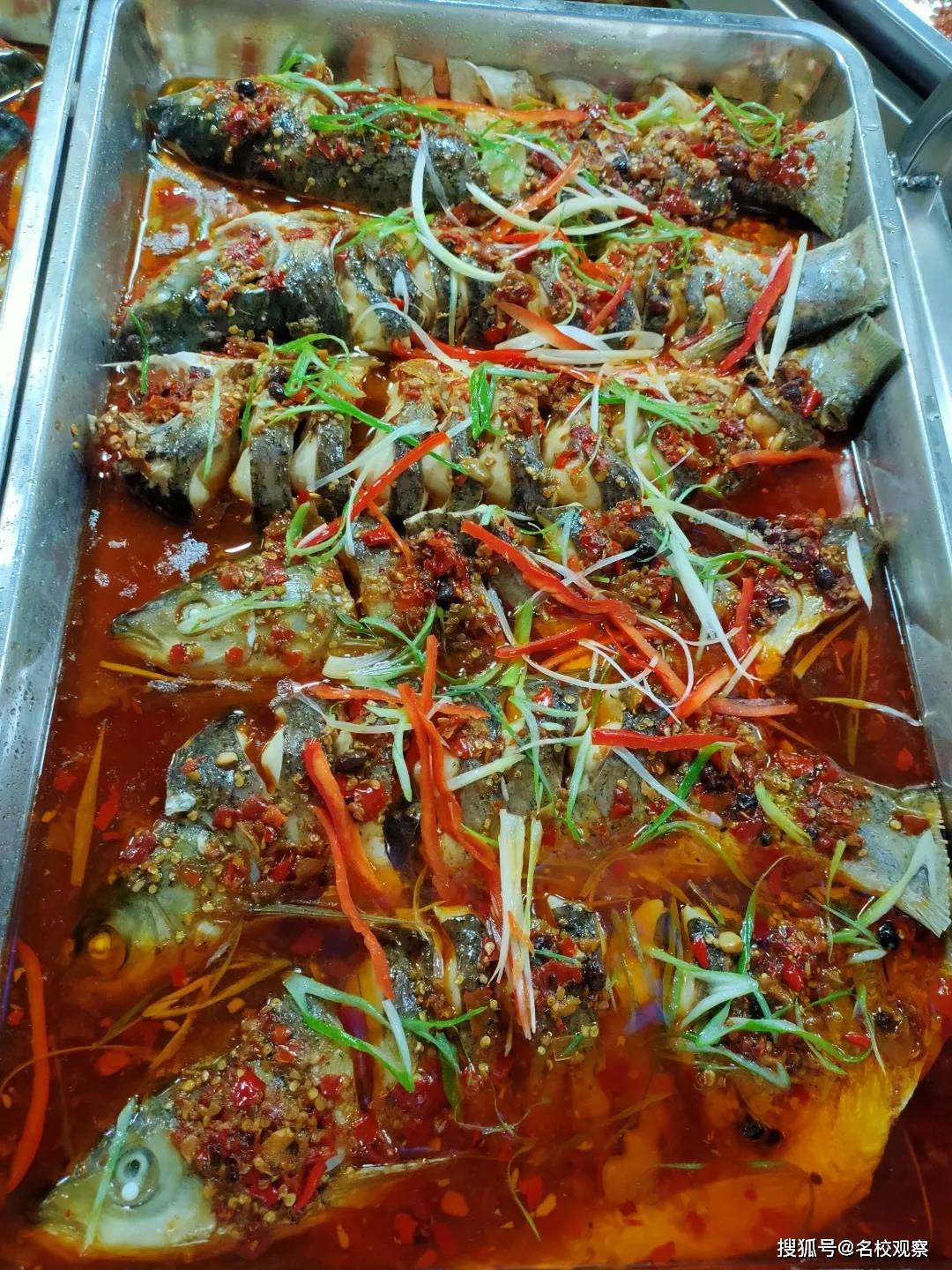 池塘|强！四川这所学校专门给学生们建了一个食材基地！