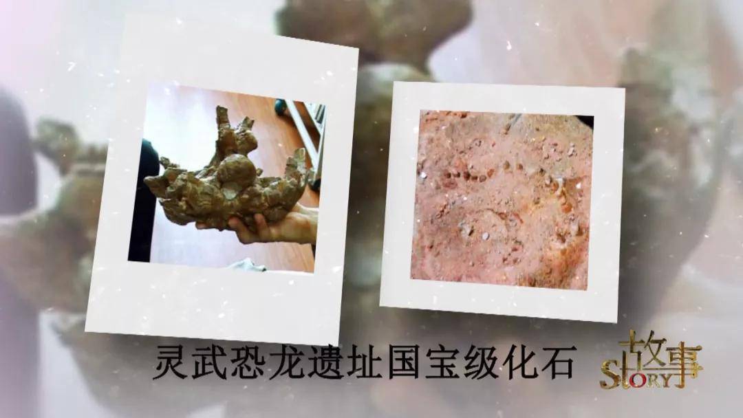 中国|中国“神奇灵武龙”,究竟因何而神奇？