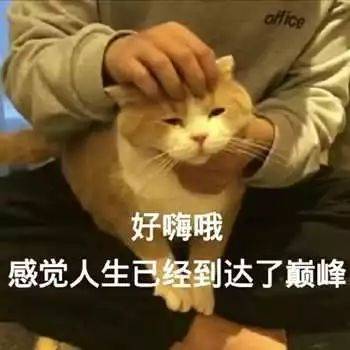 956e6581b36442248cc41eec2a3ee9ca.jpeg