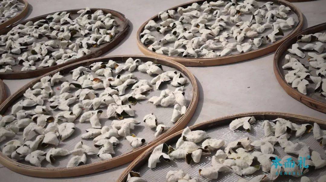 含量|为什么说中国最好的陈皮在江门新会？这次有答案了！