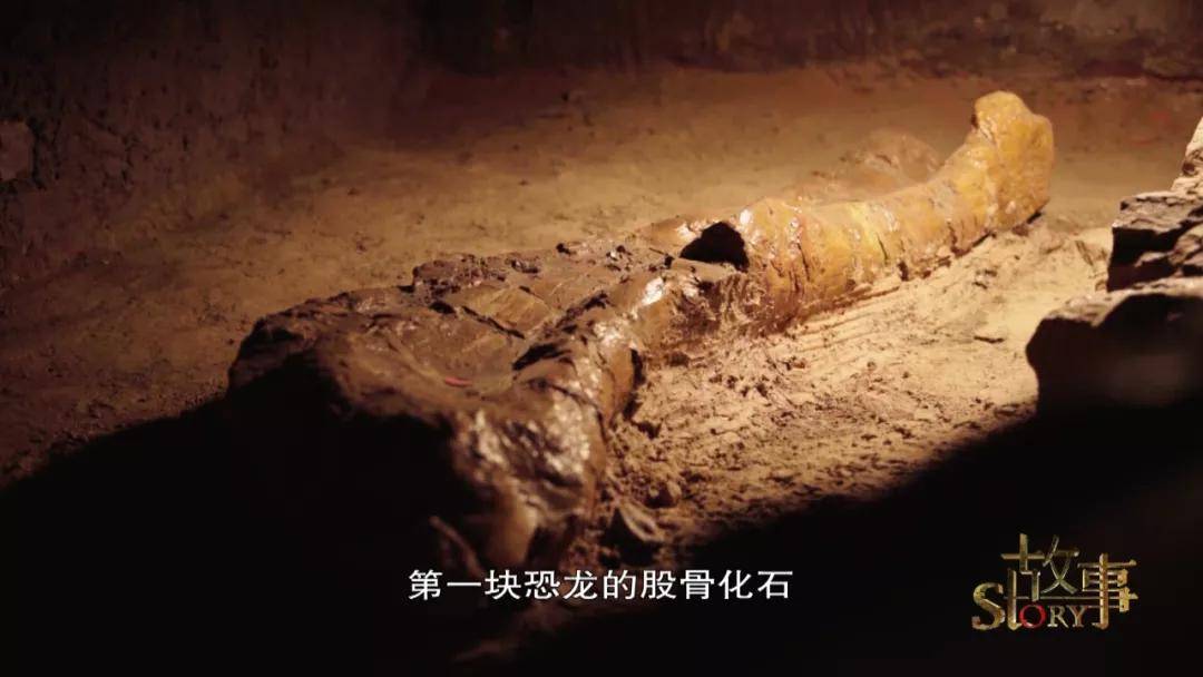 中国|中国“神奇灵武龙”,究竟因何而神奇？