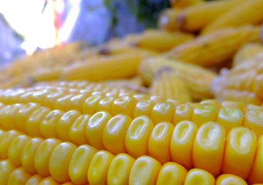 营养品|十块钱两三个，每天一杯，40岁还是少女脸此物是天然的营养品