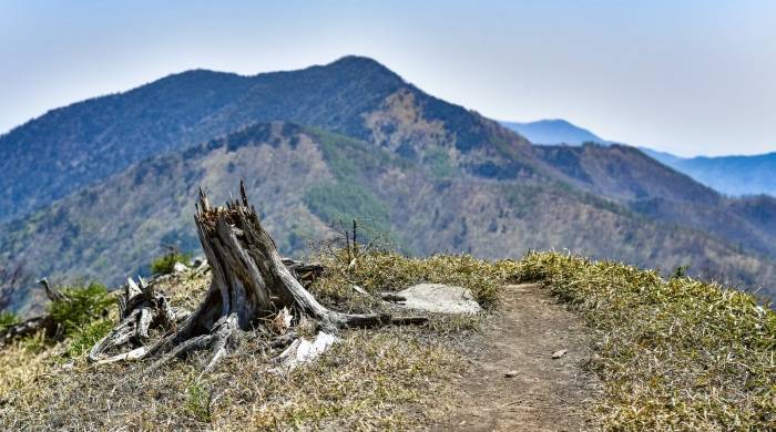 老板电器失速背后：战略懒惰战术匮乏，品牌老化产品断层-家电圈官网