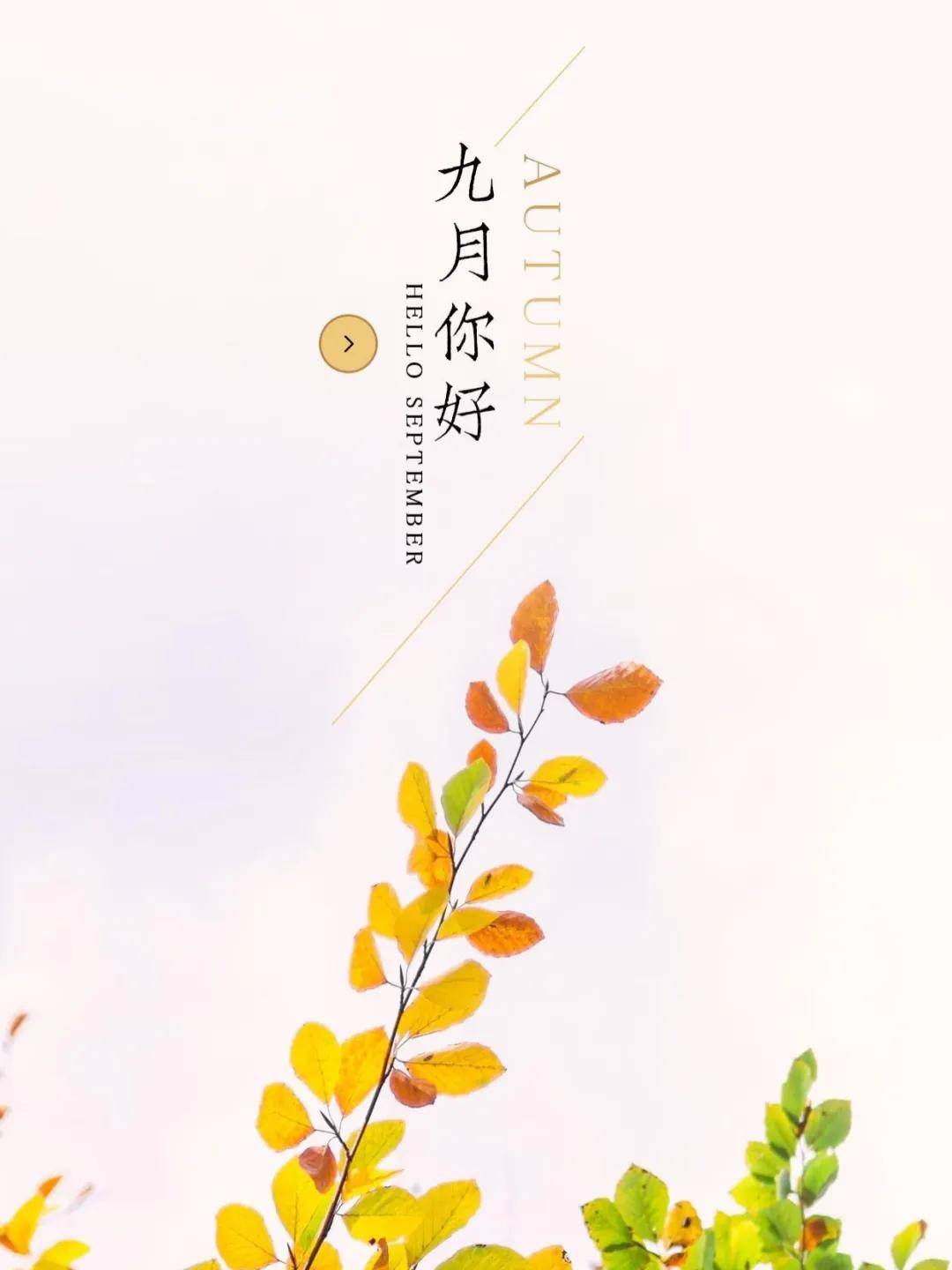 九月你好,我们演唱会上见!