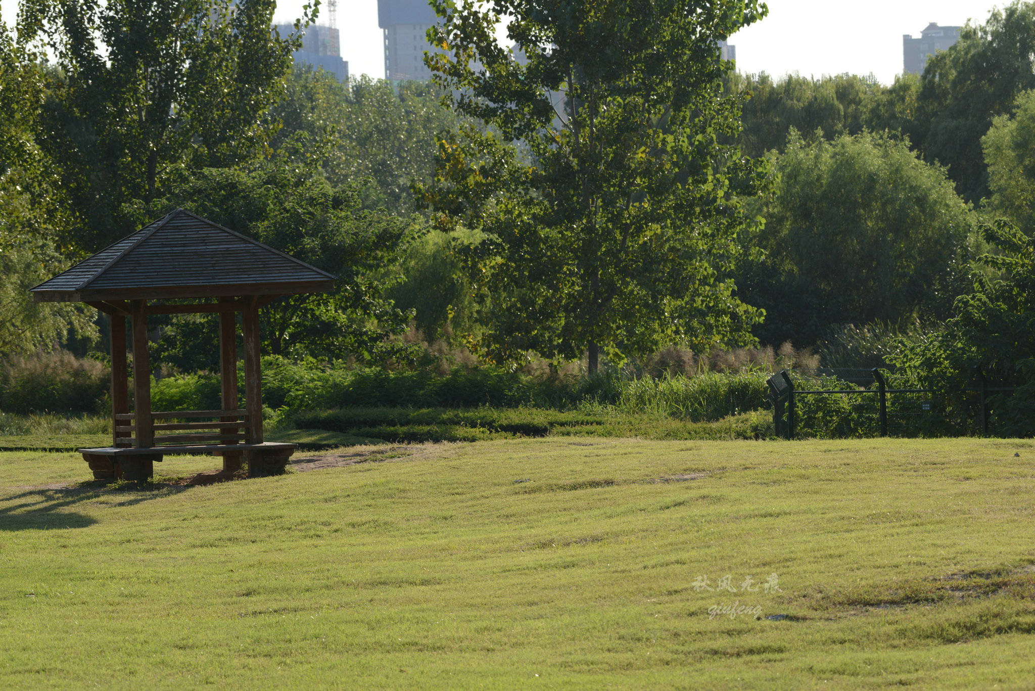 浐灞(|西安蓝里的浐灞，鹭鸶嬉戏，花草灿阳，留下湿地美幻时光