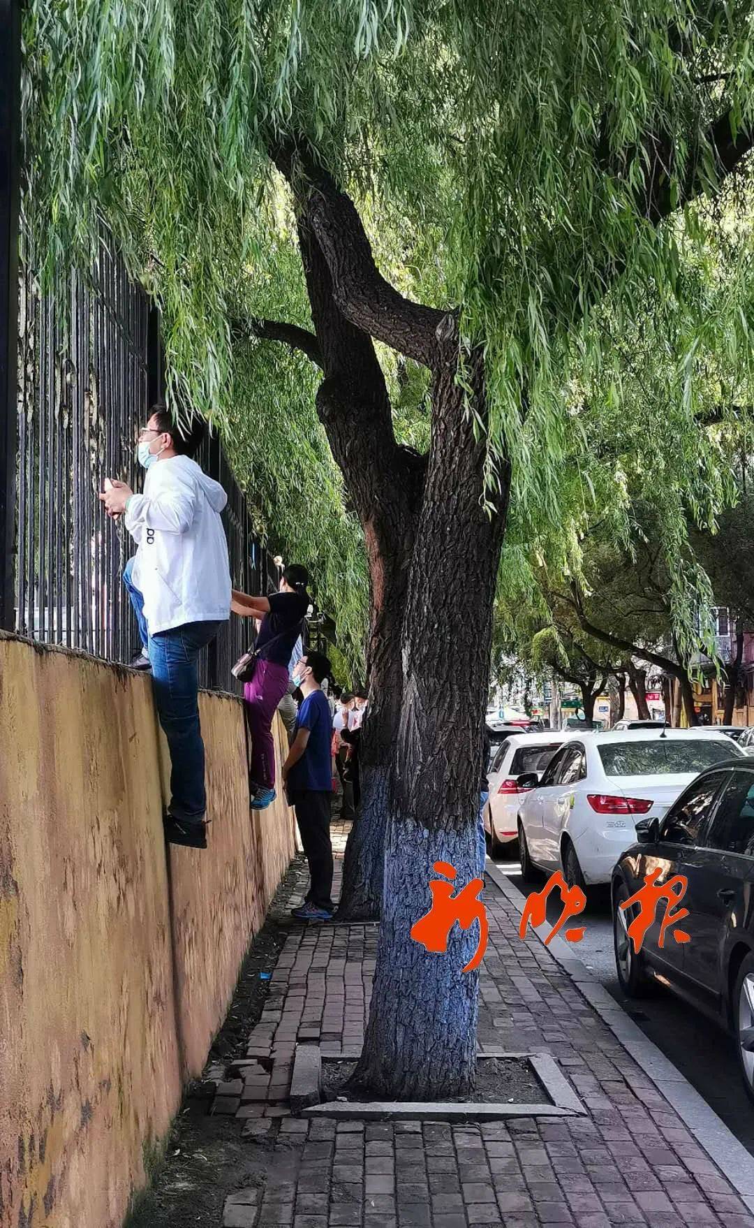 家长|神兽归笼现场！上海150万小学生今天开学！妈趴窗，爹爬树，场面过于激动~