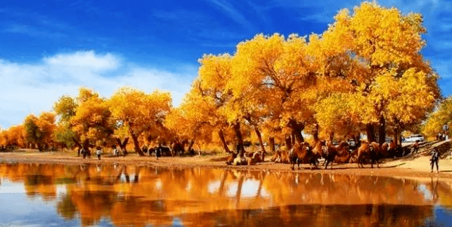 05206ff15d924d2f81298b71db0f7284.png