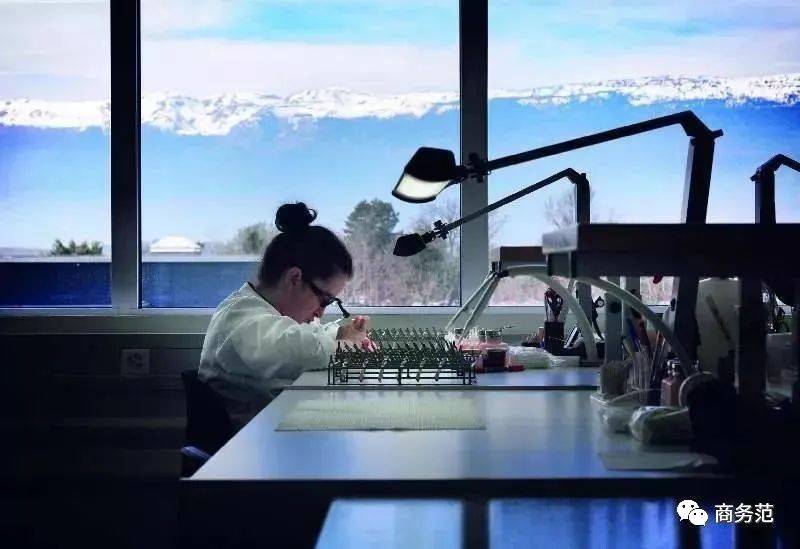 年还|为什么一块钢表几十万，排队10年还买不到？