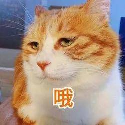 5b7a178e99804a7e95f5149aaa957c98.jpeg