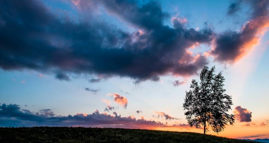 家电企业加速去代理商,但地方性大商家的价值不会消失!-家电圈官网