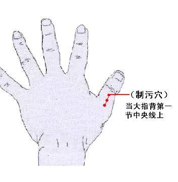 董氏奇穴制污穴治病探讨-搜狐大视野-搜狐新闻