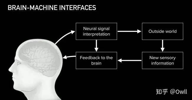 马斯克|马斯克这个让网友们高潮的脑机接口，真的挺弱的