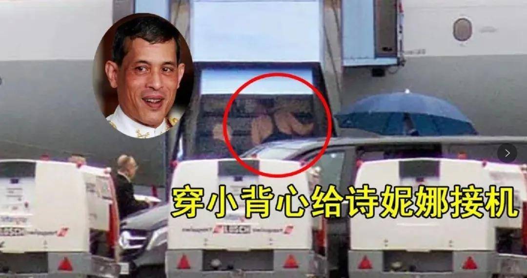 封号|多大仇啊？！她又冒着封号的危险手撕张大奕，头也太铁了...
