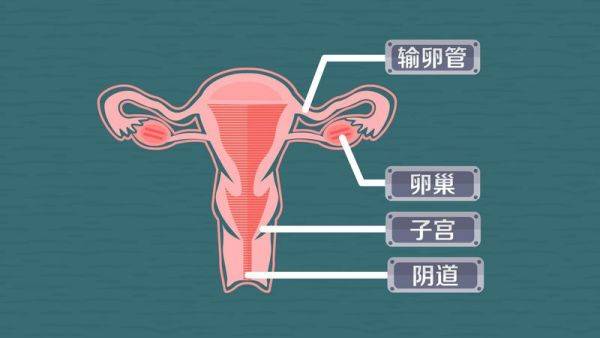 世禧家和:关于女性生殖亚健康的报告
