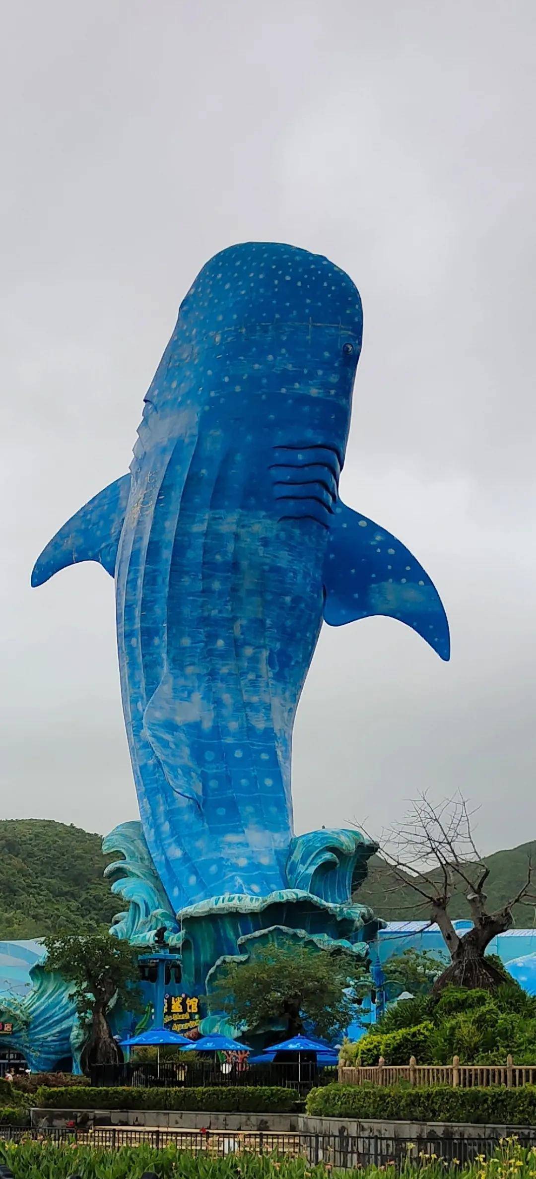 Pro|vivo X50 Pro测试：765G换来微云台，值得一买吗？