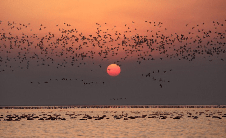 2020上半年赣州市GDP_赣州市恒大名都8栋图(3)