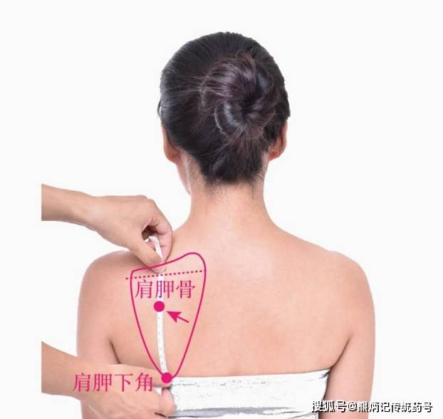 图/大家中医 肩胛冈中点与肩胛骨下角连线的上1/3处凹陷处,就是天宗