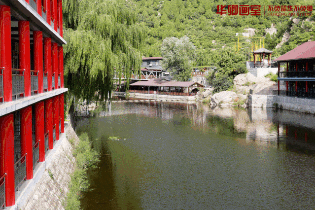 消息资讯|招生简章｜寒假班抢床位手慢无华卿寒假班开放100名额抢先报