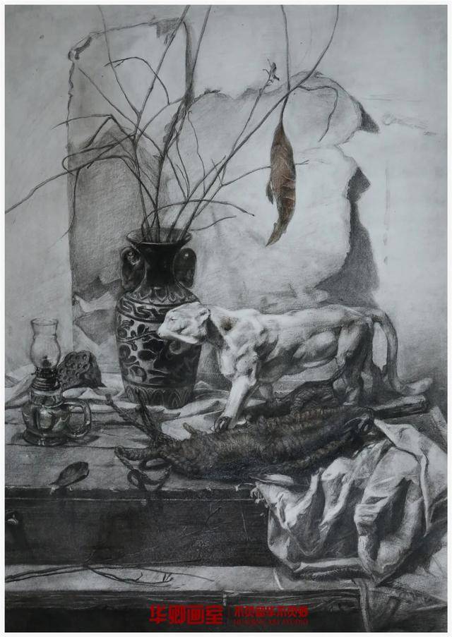 消息资讯|招生简章｜寒假班抢床位手慢无华卿寒假班开放100名额抢先报