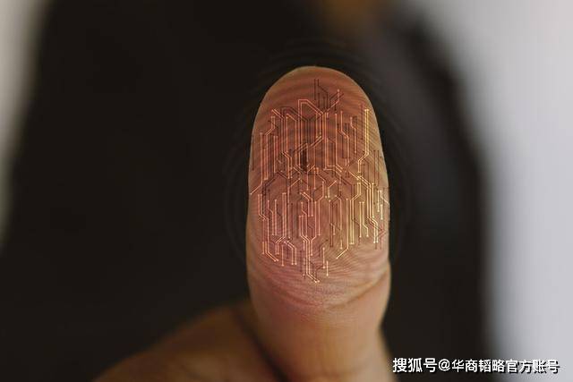 芯片|中国首家千亿市值芯片公司的浮与沉