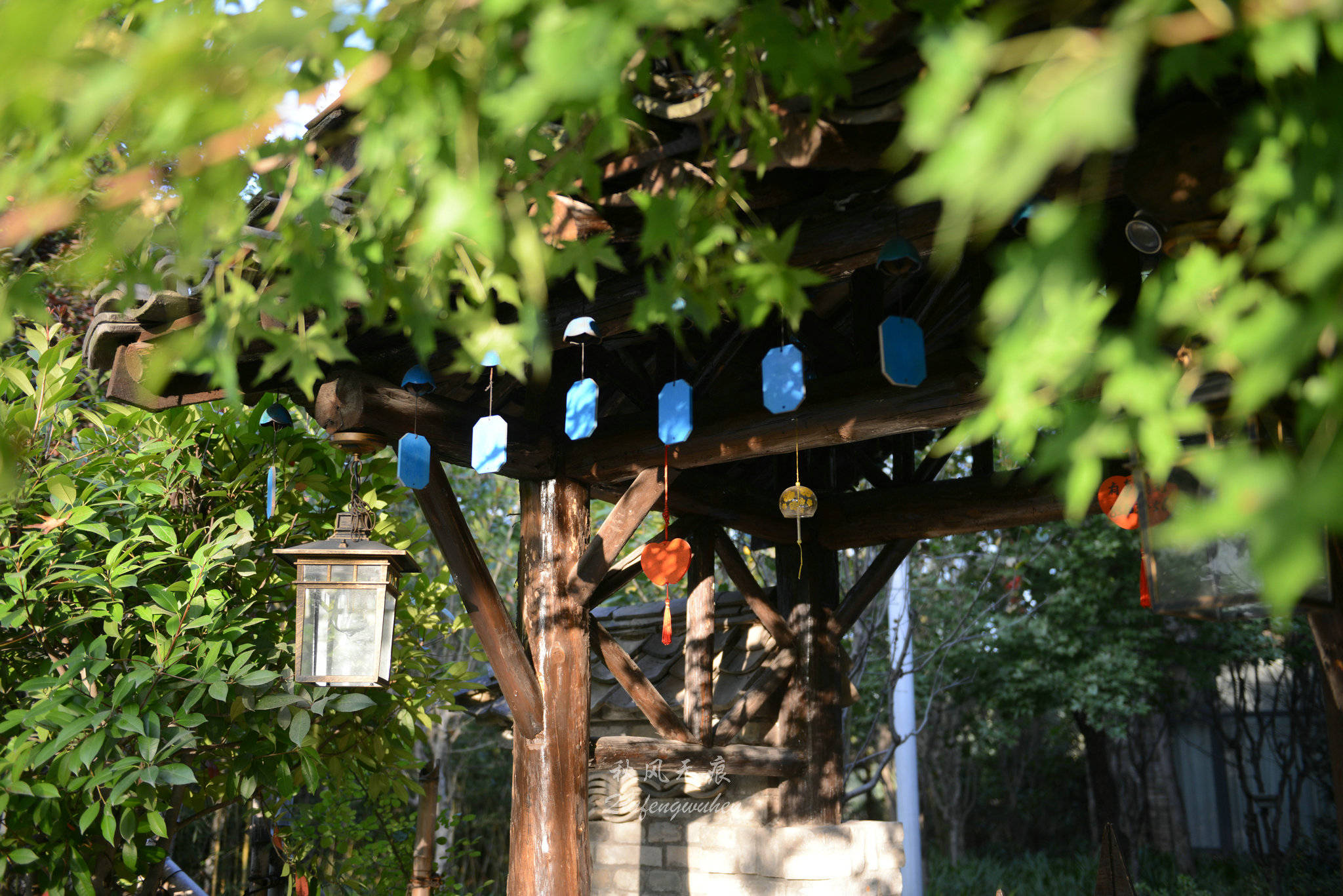 秋风(|秋风拂醉沙沙河边温柔乡