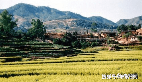 安溪几个人口_安溪铁观音图片(2)