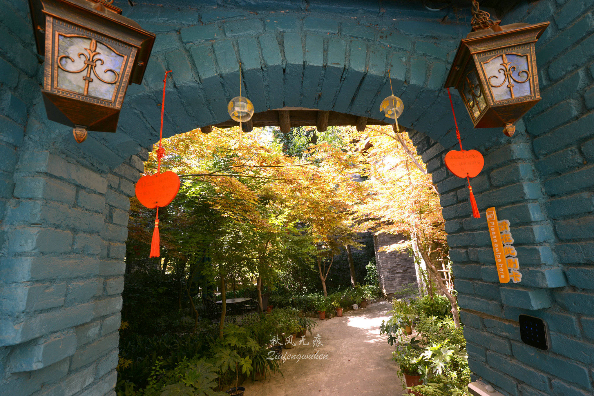 秋风(|秋风拂醉沙沙河边温柔乡