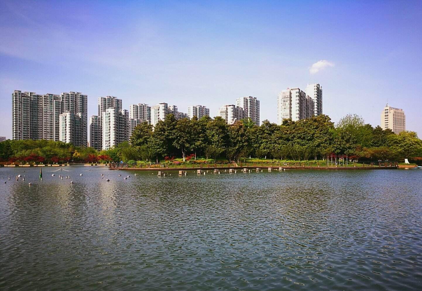 常州市武进区经济总量_常州市武进区地图