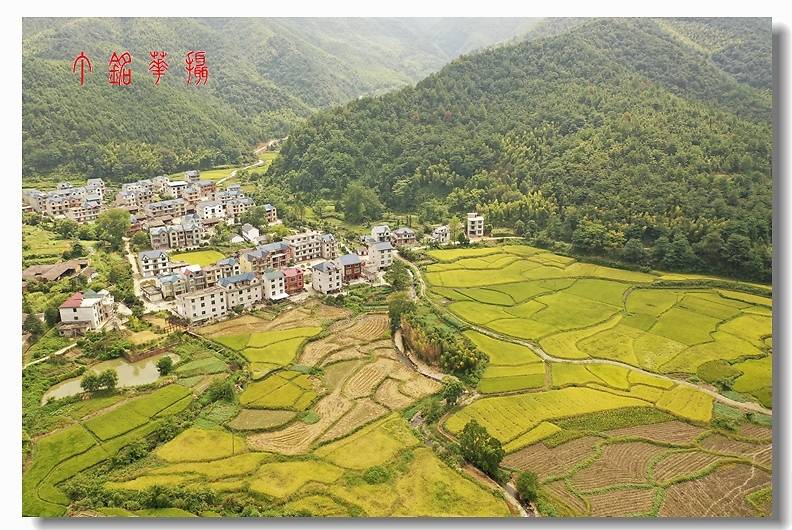 陈坊村人口_人口普查(2)