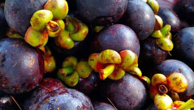 啥是热带水果 f6e7d416f0904c49a70813613c9f41d6.png