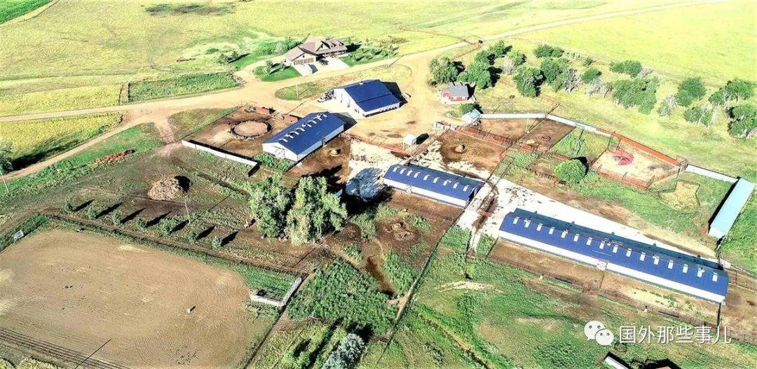 约合|23岁小伙和家人流浪街头，买张彩票中16亿秒变富豪，立马造4栋楼