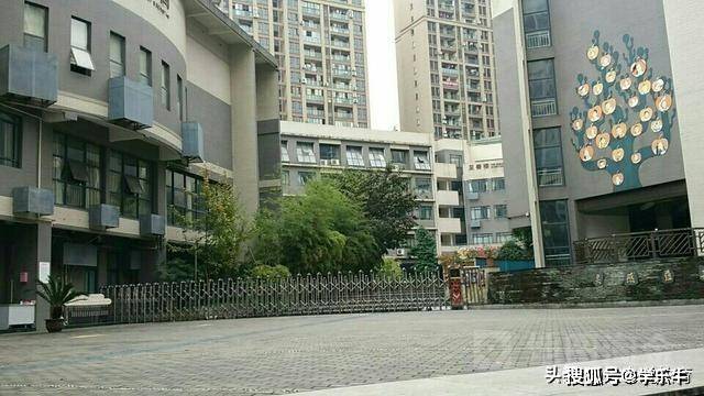 渝北巴蜀小学 数据谷中学 学区组合,师资逆天!
