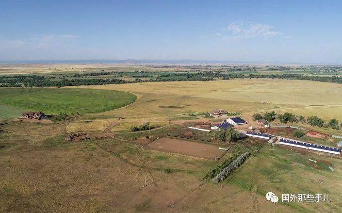 约合|23岁小伙和家人流浪街头，买张彩票中16亿秒变富豪，立马造4栋楼