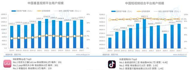 易观报告：云吸宠人群超5千万，2019年社交平台宠物博主超1.5万