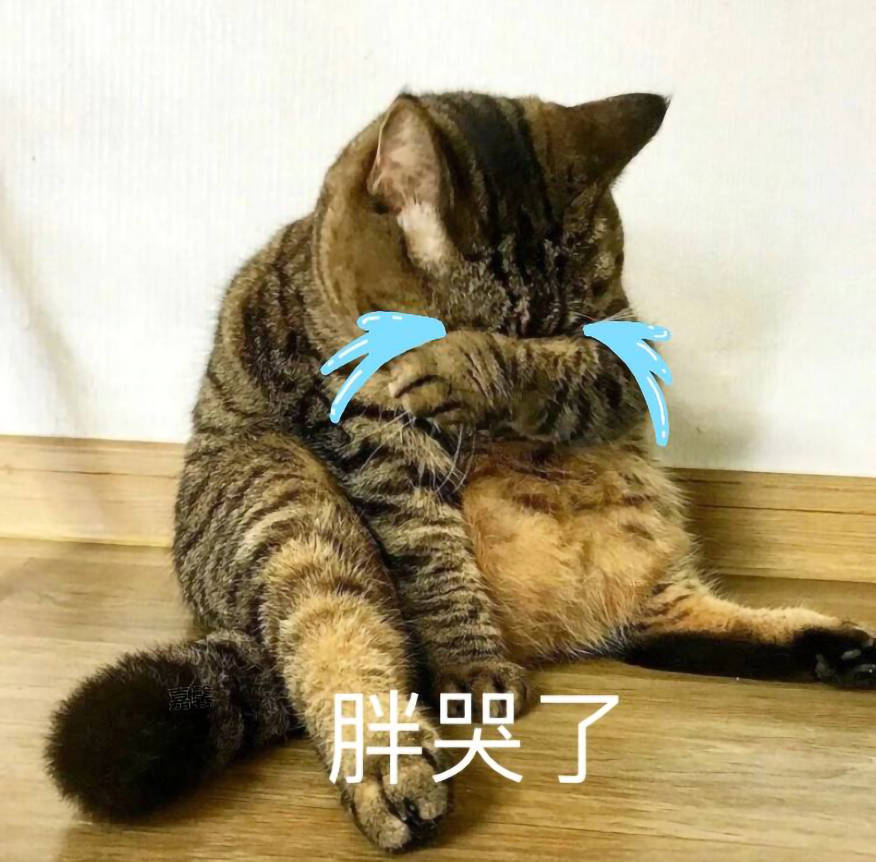 肥肥的猫咪 15344051bbef4aa9a3f70507e3ecbd17.jpeg