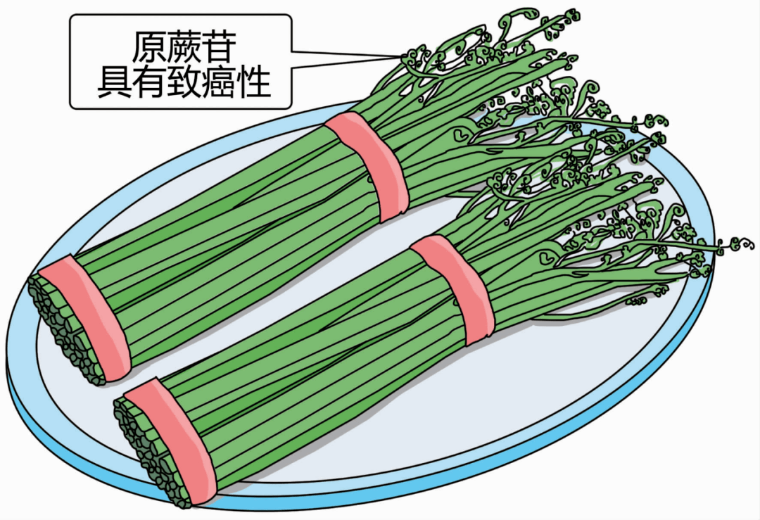 8394547ae31b490b9a71cb65e27acbc5.png