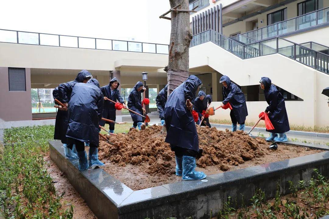 郭小峰|瓯海区公立艺术学校揭牌暨新建四所公办幼儿园开园仪式隆重举行