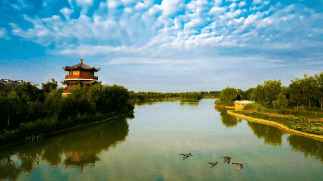 菏泽市2020上半年gdp_菏泽市地图(3)