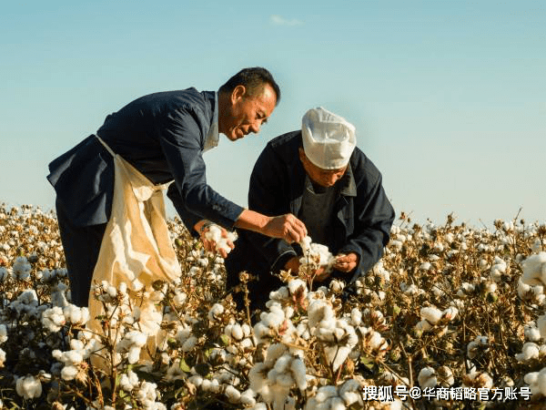 口罩|它因预判疫情出圈，5个月卖6亿只口罩并非主业，老板是棉花狂人