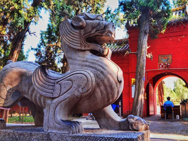 喝汤|洛阳人爱喝汤 千古传颂的爱情故事也难抵过一碗羊肉汤