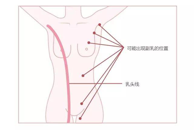 内衣|虞书欣暴露油腻肚腩没多久，这次竟然公开要求p副乳了，身材管理就这么难吗？