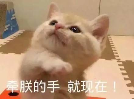 e7d9751c9d0d4072852ac88bbbcb7c40.jpeg