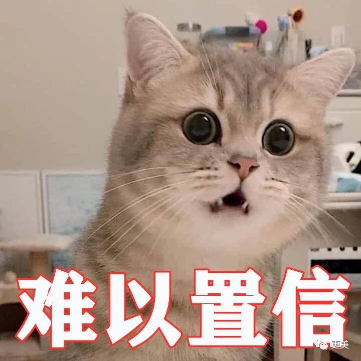 硬杠|郭碧婷再传婚变？孕期硬杠、不愧是向太都制不住的女人！