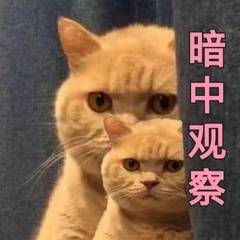ff9b4155ddce4e718e02575be9765dcc.jpeg