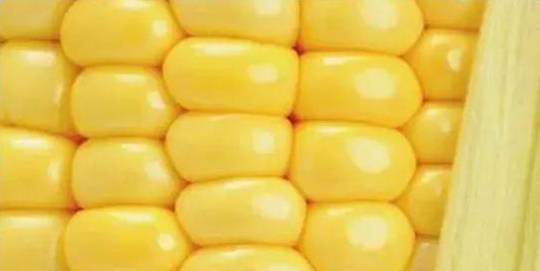 20a929a860af465ba9aa100717e2cff3.jpeg