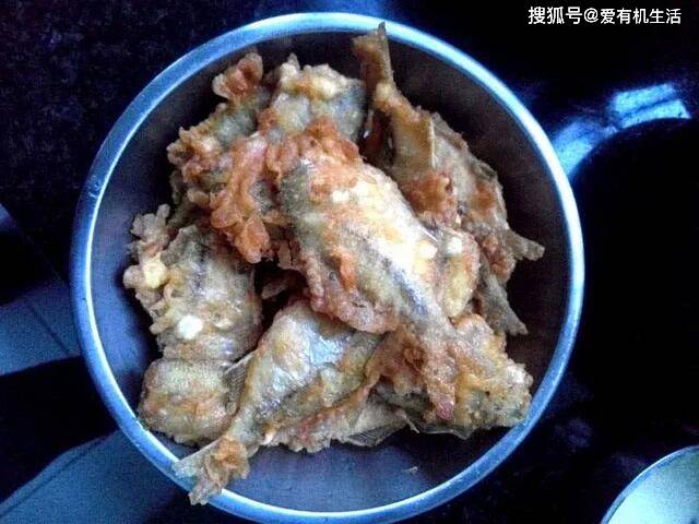 鳑鲏鱼最喜欢吃什么食物 4406960c3dc743848acc65f0a29eae83.jpeg