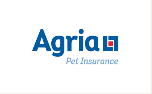 for immediate pet insurance: