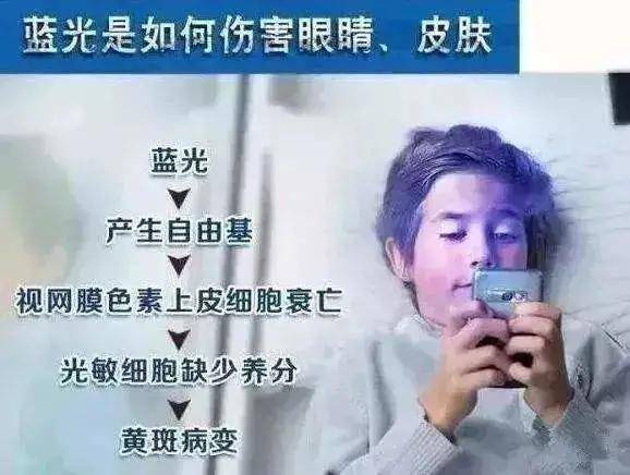 17a03f45af404cd3bd0070f3e36b3c31.jpeg